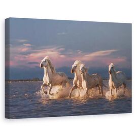 Tablou canvas - Ingerii din Camargue, Animal, Cal, Forta, Apus De Soare - - Roveli