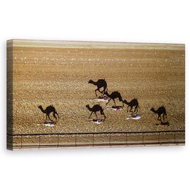 Tablou Canvas - Cursa Al-Marmoum, Aeriene, Dubai, Camile - - Roveli