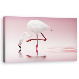 Tablou Canvas - Flamingo, Pasare, Roz, Apa, Oglinda, Romantism, Salbatic, Marime: 50 x 100 cm - - Roveli