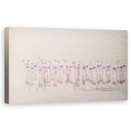 Tablou Canvas - Roz Marsaluind, Kuweit, Animale, Flamingo, Natura, Plaja, Ocean, Marime: 50 x 100 cm - - Roveli