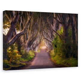 Tablou canvas - Gardurile vii stralucitoare, Peisaj, Copaci, Ramura, Perspectiva, Marime: 80 x 120 cm - - Roveli