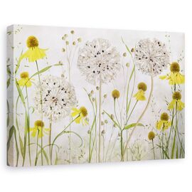 Tablou canvas - Allium si helenium, Natura moarta, Flori, Camp, Gradina - - Roveli