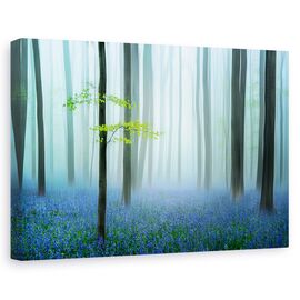 Tablou canvas - Padurea albastra, Peisaj, Ceata, Vara, Flori, Marime: 80 x 120 cm - - Roveli