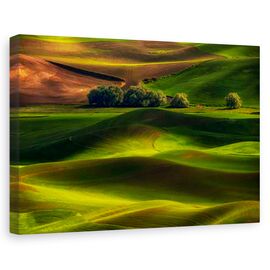 Tablou canvas - Primavara in Palouse, Peisaj, Verde, Camp, Copaci, Marime: 80 x 120 cm - - Roveli