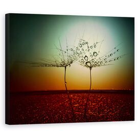 Tablou Canvas - Foc si Apa, Natura Statica, Rosu, Bland, Marime: 60 x 75 cm - - Roveli