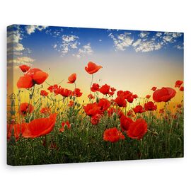 Tablou canvas - Maci, Peisaj, Camp, Flori, Vara, Marime: 80 x 120 cm - - Roveli