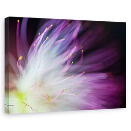 Tablou canvas - Will-o-the-Wisp, Flori, Petale, Abstract - - Roveli