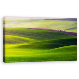 Tablou Canvas - Teren Verde, Domenii, Vara, Peisaj, Moravia, Verde, Luxurianta, Marime: 50 x 100 cm - - Roveli