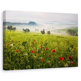 Tablou canvas - Primavara toscana, Peisaj, Italia, Ceata, Dimineata, Marime: 80 x 120 cm - - Roveli