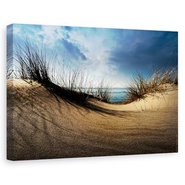 Tablou canvas - Dune, Peisaj, Plaja, Nisip, Coasta, Marime: 80 x 120 cm - - Roveli
