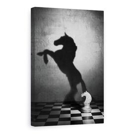 Tablou Canvas - Sufletul Unui Mustang, Mustang, Cal, sah, Umbra, Alb-Negru - - Roveli
