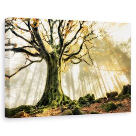 Tablou canvas - Noiembrie, Flori, Galben, Copac, Soare, Marime: 80 x 120 cm - - Roveli