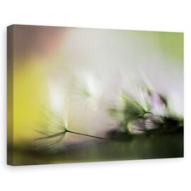 Tablou canvas - In zori, Flori, Verde, Moale, Delicat, Marime: 80 x 120 cm - - Roveli