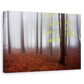 Tablou canvas - Abia trezit, Peisaj, Padure, Albastru, Ceata, Marime: 80 x 120 cm - - Roveli