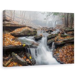 Tablou canvas - Ceata matinala, Peisaj, Frunze, Apa, Cascada, Marime: 80 x 120 cm - - Roveli