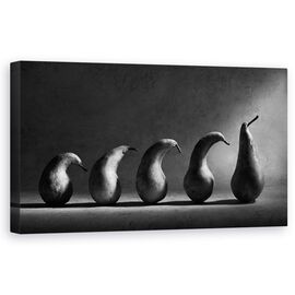 Tablou Canvas - Evolutia, Linie, Coada, Alb-Negru, Fructe, Pere, Evolutie, Marime: 50 x 100 cm - - Roveli