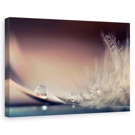Tablou canvas - Povestea picaturilor, Flori, Pene, Moale, Delicat, Marime: 80 x 120 cm - - Roveli