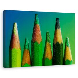Tablou canvas - Verde, Natura moarta, Creioane - - Roveli