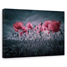 Tablou canvas - Maci, Flori, Rosu, Roz, Marime: 80 x 120 cm - - Roveli