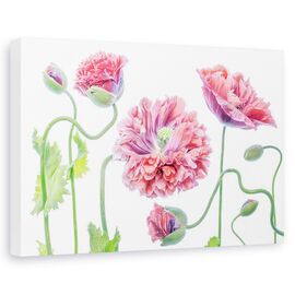 Tablou canvas - Fancy, Natura moarta, Ornamental, Roz - - Roveli