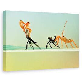 Tablou canvas - Re-nascut, Flori, Insecte, Portocaliu, Marime: 80 x 120 cm - - Roveli
