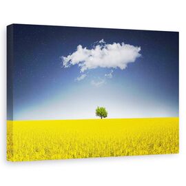Tablou canvas - Campul ireal Canola, Flori, Copac, Nor, Marime: 80 x 120 cm - - Roveli
