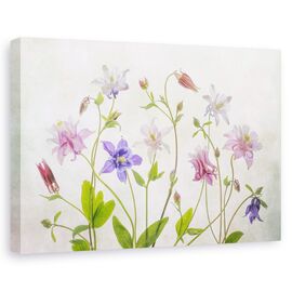 Tablou canvas - Columbine, Natura moarta, Culori Pastelate, Flori, Marime: 80 x 120 cm - - Roveli