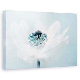 Tablou canvas - Vata pe bat, Natura moarta, Flori, Turcoaz, Abstract - - Roveli