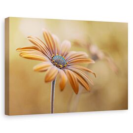 Tablou canvas - Stralucire de vara, Flori, Auriu, Marime: 80 x 120 cm - - Roveli