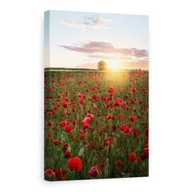 Tablou Canvas - Campuri De Mac Din Suedia, Flori, Maci, Soare, Suedia, Rosu, Marime: 80 x 120 cm - - Roveli