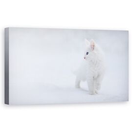 Tablou Canvas - Alba Ca Zapada - - Roveli