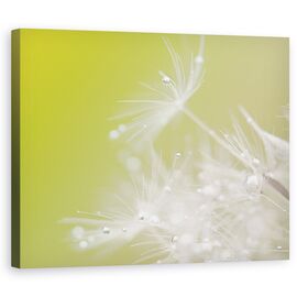 Tablou Canvas - Verde, Marime: 60 x 75 cm - - Roveli