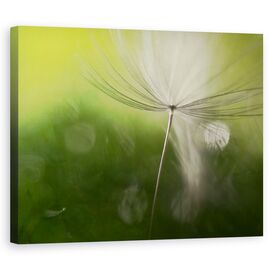 Tablou Canvas - Umbre In Verde, Marime: 60 x 75 cm - - Roveli