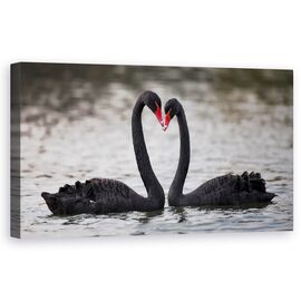 Tablou Canvas - In Dragoste - - Roveli