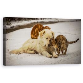 Tablou Canvas - Emisii Dulci - - Roveli