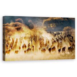 Tablou Canvas - Cai - - Roveli