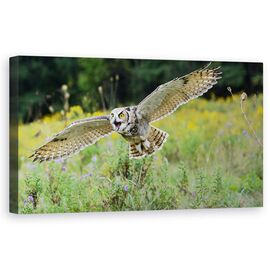 Tablou Canvas - Deschide Aripile Si Zbori - - Roveli