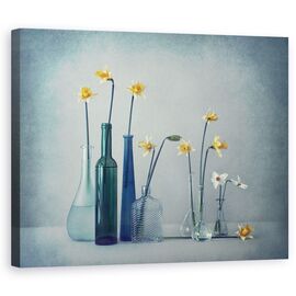 Tablou Canvas - Narcise - - Roveli