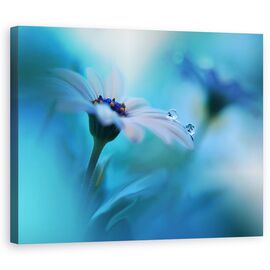 Tablou Canvas - Dincolo De Aparente, Marime: 60 x 75 cm - - Roveli