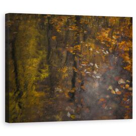 Tablou Canvas - Impresie De Toamna - - Roveli