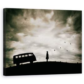 Tablou Canvas - Libertate - - Roveli