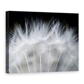 Tablou Canvas - Sufla, Marime: 75 x 100 cm - - Roveli
