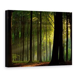 Tablou Canvas - Inainte De Cadere, Marime: 75 x 100 cm - - Roveli