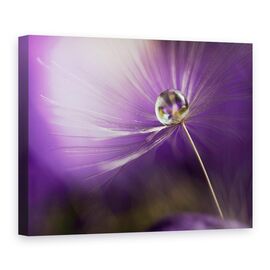 Tablou Canvas - In Nuante De Violet, Marime: 75 x 100 cm - - Roveli