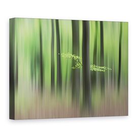 Tablou Canvas - Dimineata De Primavara, Marime: 75 x 100 cm - - Roveli