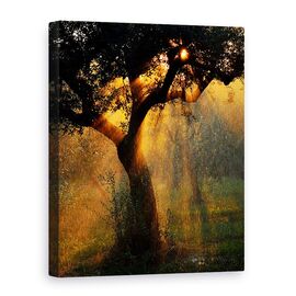 Tablou Canvas - Dus Usor, Marime: 75 x 100 cm - - Roveli