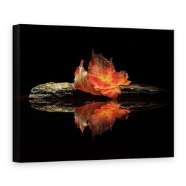 Tablou Canvas - Culori De Toamna - - Roveli