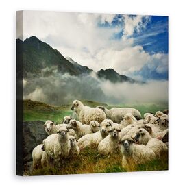 Tablou Canvas - Tacerea Mieilor, Marime: 90 x 90 cm - - Roveli