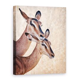 Tablou Canvas - Nu-Ti Face Griji, Sunt Aici - - Roveli