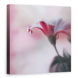 Tablou Canvas - Atingere Invizibila, Marime: 90 x 90 cm - - Roveli